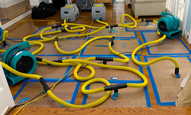 Professional Basement Flood Cleanup technician working in River Forest, IL